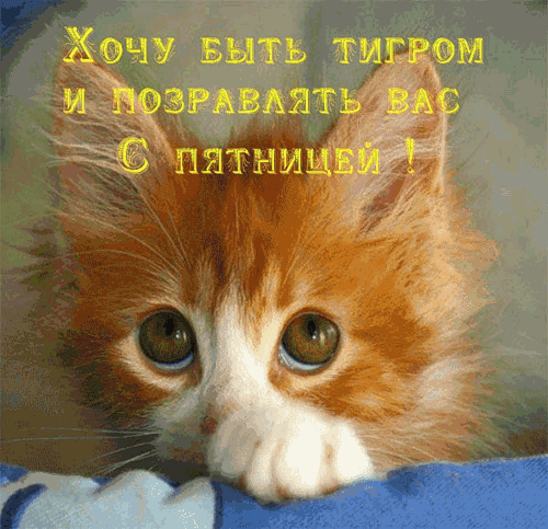 b268174d2b36.gif (500×483)
