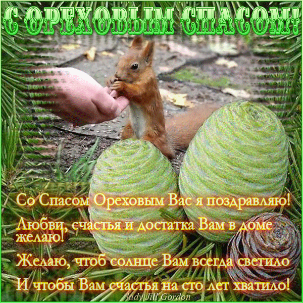 Картинка из галереи поздравлений