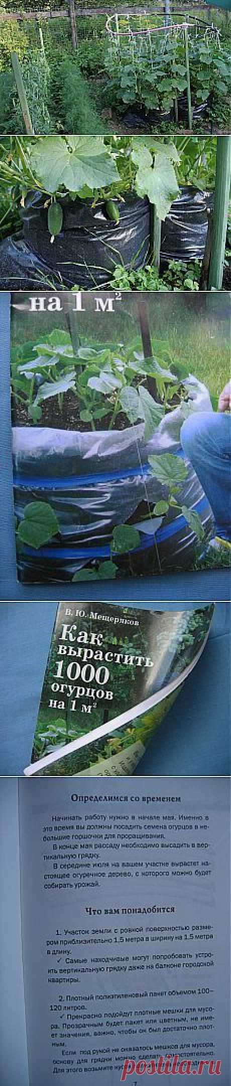 Огурцы из мешка | Огород без хлопот