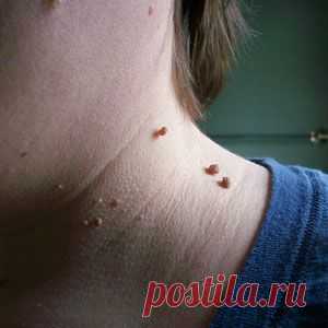 Полезные советы для быта. 2 часть.