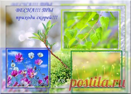 Так хочется уже Весны... (Галина Волченкова) / Стихи.ру