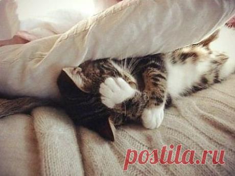 Мой Мир@Mail.Ru