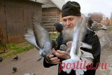 Одноклассники