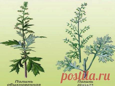 Хороший рецепт для лечения печени