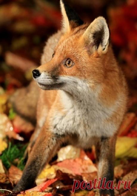 i (538×768)