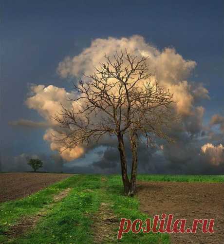 25 фотографий, на которые придется посмотреть дважды • НОВОСТИ В ФОТОГРАФИЯХ