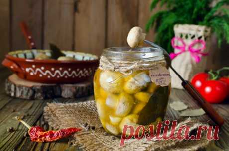 Вкусные рецепты