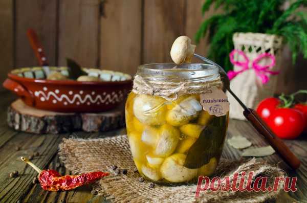 Вкусные рецепты