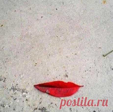 E s t h é t i q u e