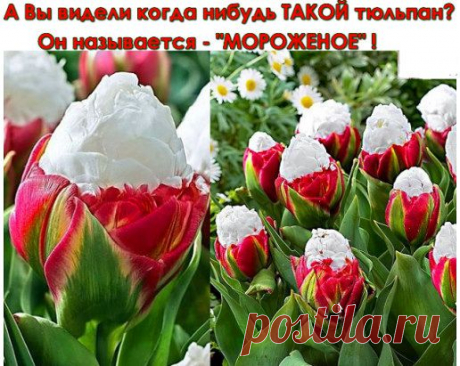 Сказочно красиво!!!
