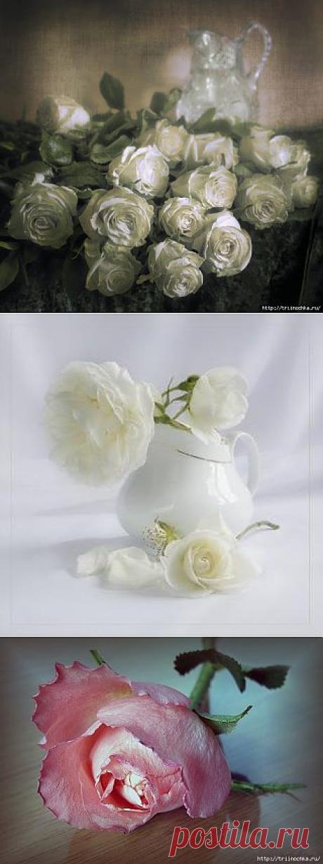 Нежность... И мягкой поступью....