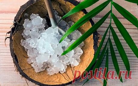 Индийский морской рис: противопоказания, инструкция приготовления