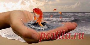 Отпустить, чтобы быть счастливым : Секреты успеха : Таинственное : Subscribe.Ru