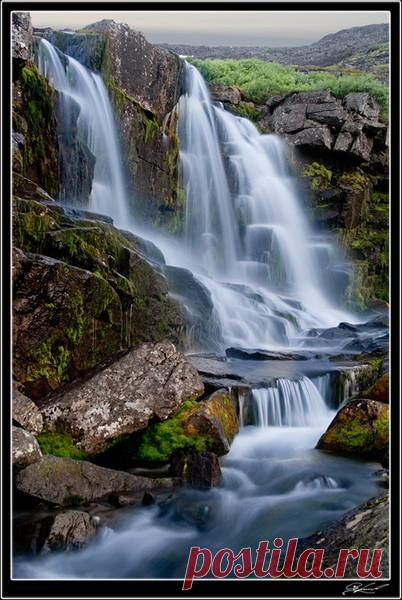 Фотографии Lyboznatelnyi UMNIK - 2171 фото в Моем Мире.