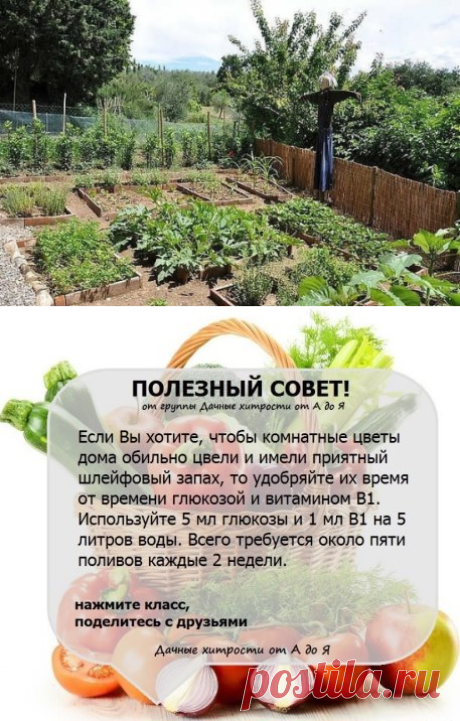 (56) Одноклассники