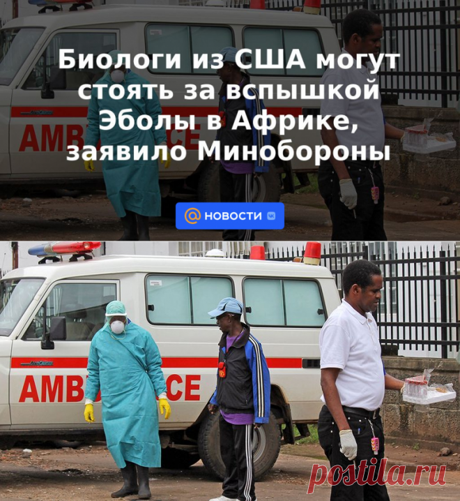 Биологи из США могут стоять за вспышкой Эболы в Африке, заявило Минобороны | 10 марта 2023 - Новости Mail.ru