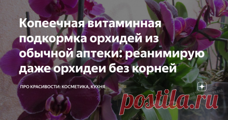 Копеечная витаминная подкормка орхидей из обычной аптеки: реанимирую даже орхидеи без корней Самый оптимальный способ подкормки орхидей (как ослабленных, так и здоровых цветущих) – это витаминные коктейли. И не обязательно приобретать какие-то дорогостоящие средства для растений! Можно обойтись доступными препаратами из обычной аптеки. Нужно лишь знать, какие витамины и для чего нужны, а также строго соблюдать дозировку рабочего раствора.
*Фото принадлежат каналу "ПРО красивости"
Как