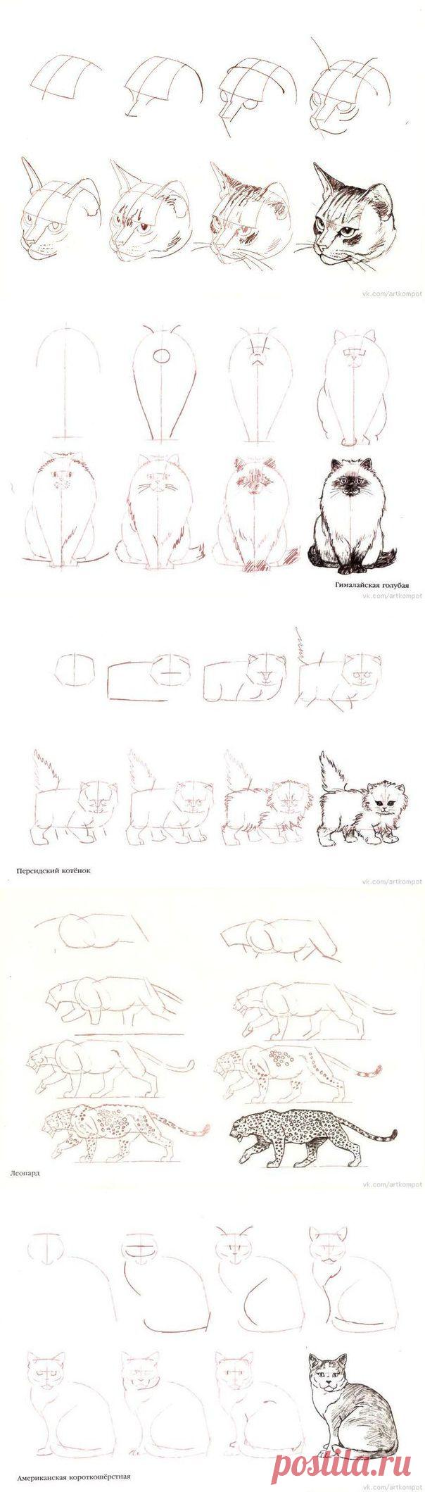 >Рисование кошек