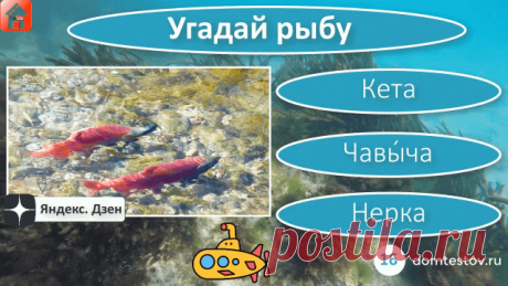 🔥 Всем привет! Посмотрите наш "Тест Рыбы России и Евразии. Онлайн игра-викторина 'Угадай рыбу!'. Игра-викторина для детей, школьников и взрослых". 🚀 Посмотрите наши тесты и викторины, расскажите о них друзьям, детям и внукам. Спасибо за просмотр видео. Удачи вам и хорошего дня! ❤ Пожалуйста подпишитесь на наш канал в Дзене и на YT, Rutube поддержите канал и ролики подпиской, лайками и комментариями, заходите на наш сайт (ссылка в шапке канала), там вы найдете много тесто...
