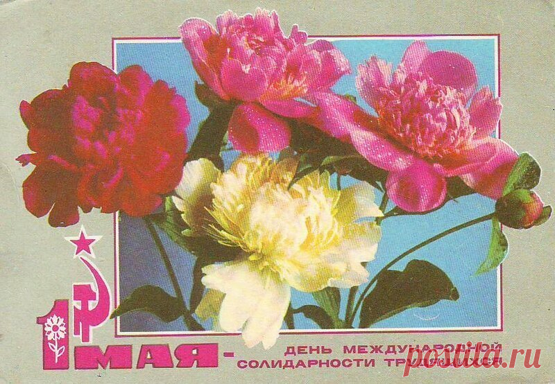 Первомай Подборка советских поздравительных открыток к 1 мая. 1. 2. 3. 4. 5. 6. 7. 8. 9. 10. 11. 12. 13. 14. 15. 16. 17.