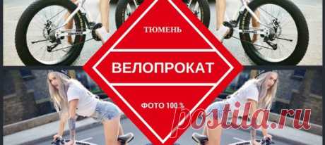 Поиск новостей по запросу #велопрокаттюмень