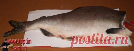 Рецепт приготовления горбуши, запеченная горбуша фото, блюда из горбуши, горбуша запеченная в духовке