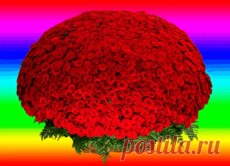 (1) Одноклассники