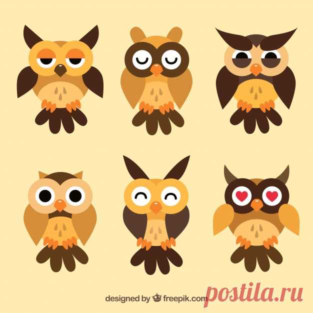 Сбор плотной совы Более миллиона свободных векторов, PSD, фотографии и бесплатные иконки. Эксклюзивные халявы и все графические ресурсы, которые необходимые для ваших проектов