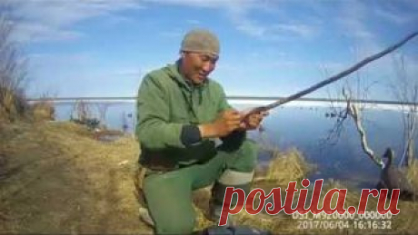 Якутские караси-монстры