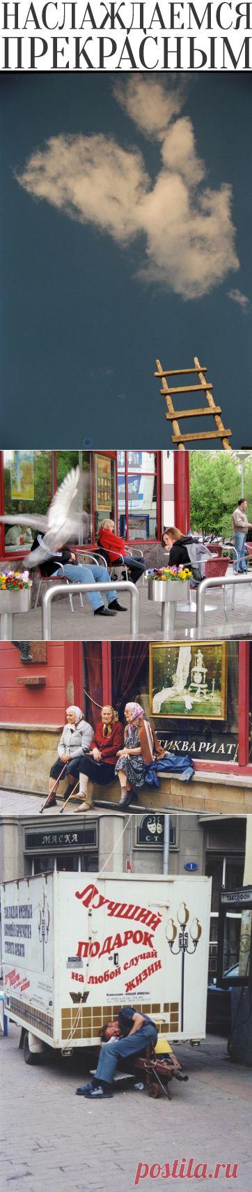 Валерий Ведяшкин, Небо, вода и земная суета