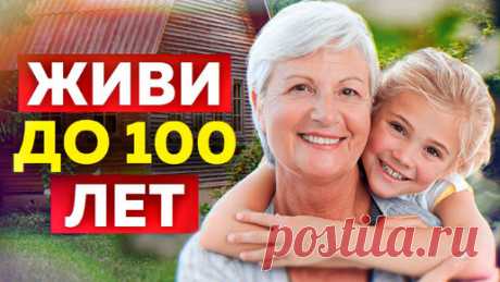 Это нужно есть КАЖДЫЙ день! ТОП-3 самых полезных продуктов в мире! | Алексей Маматов | Клуб Активного Долголетия | Дзен
