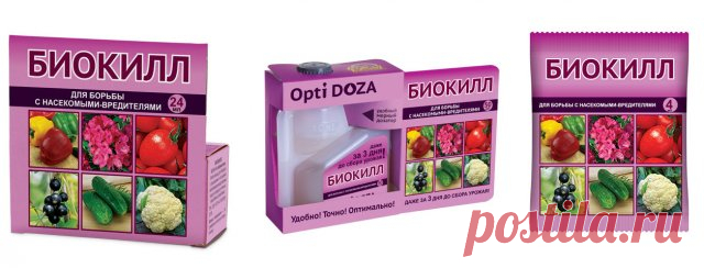 Чем можно обработать растения от вредителей перед самым сбором урожая - Садоводка