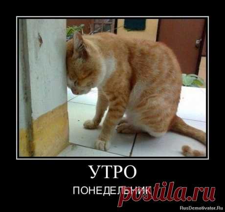 Интересные новости