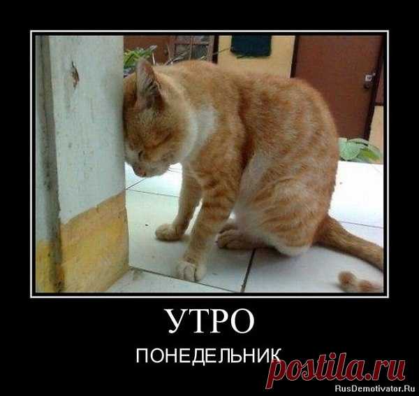 Интересные новости