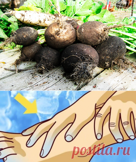 Плохая циркуляция? Все время холодные ноги и руки? Вот то, что вам нужно! | WebVinegret