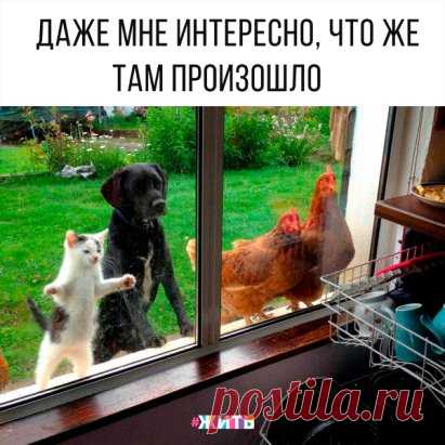 Мы все такие разные, но это не мешает нам любит и уважать друг друга! 🤗
#жить #проектжить
