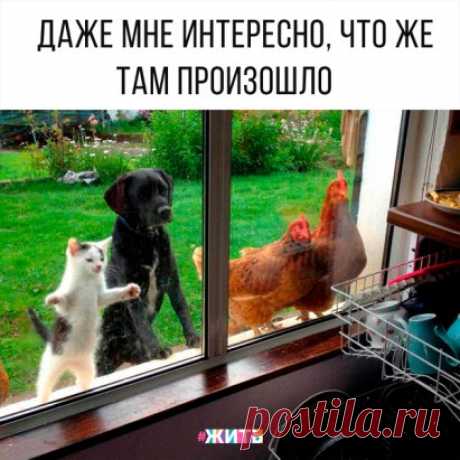 Мы все такие разные, но это не мешает нам любит и уважать друг друга! 🤗
#жить #проектжить