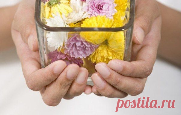 Блог сайта «Мамам, женщинам, бабушкам и очень любознательным.»
