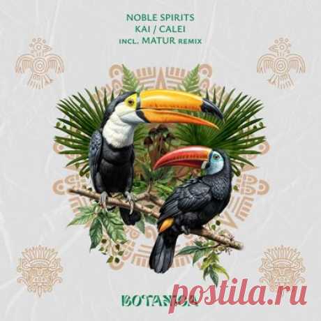 Noble Spirits – Kai / Calei