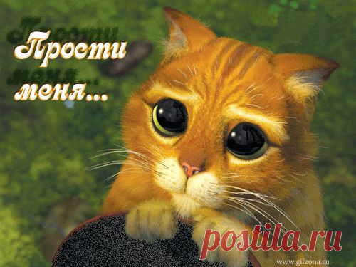 Картинки извинения