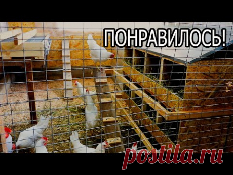 НАСЕСТ, ГНЕЗДА ДЛЯ ПТИЦЫ.