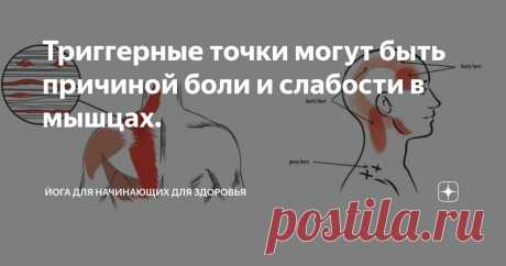 Триггерные точки могут быть причиной боли и слабости в мышцах. Статья автора «Йога для начинающих для здоровья» в Дзене ✍:   Что же такое триггерные точки?