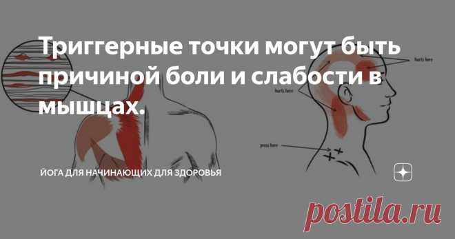 Триггерные точки могут быть причиной боли и слабости в мышцах. Статья автора «Йога для начинающих для здоровья» в Дзене ✍:   Что же такое триггерные точки?