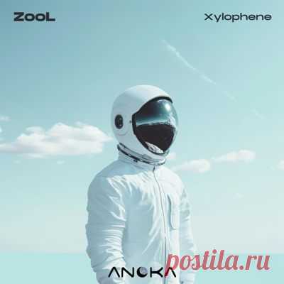 Zool - Xylophene