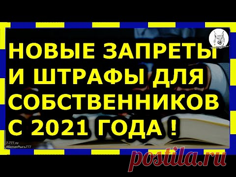 😲 Новые запреты и штрафы для собственников с 2021 года !