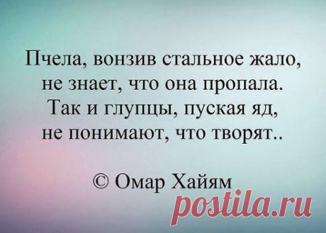 Смысл жизни.
...