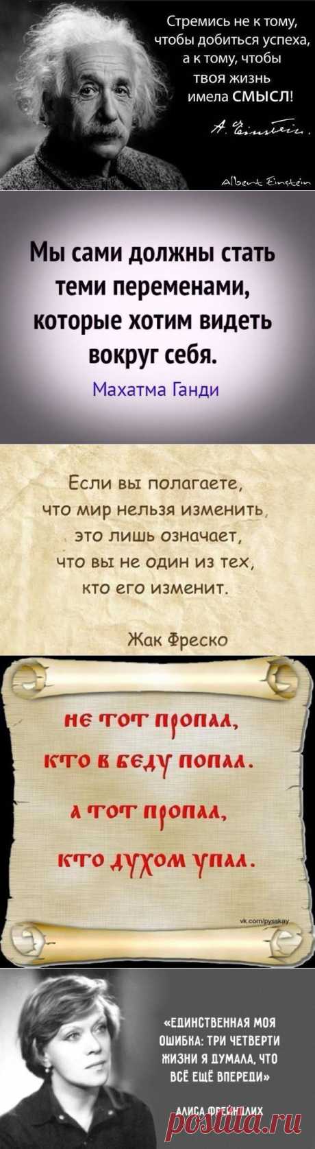 Мудрость приходит с возрастом.. — Всегда в форме!