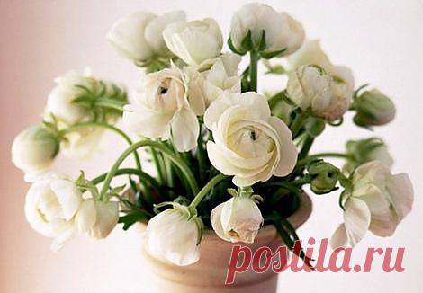 Дэниел Гоулман: Лучшее противоядие от рассеянности