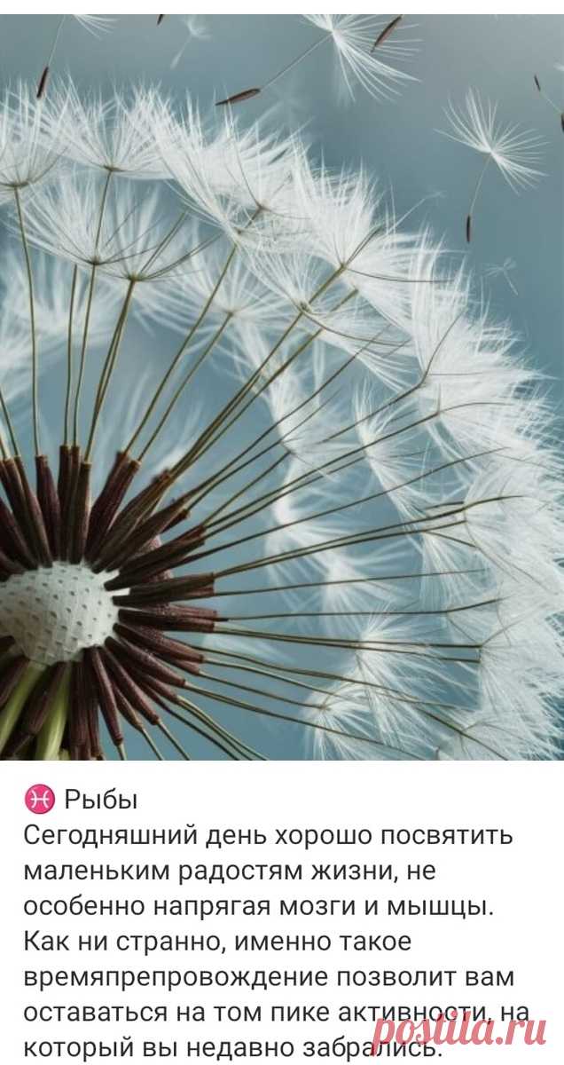 Ежедневный гороскоп - 23 июня 2024 | Hand-made заметки от Мерлеттки | Дзен