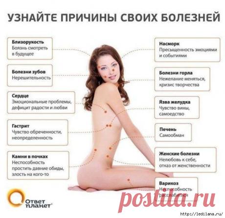 Немного о жизни и для жизни.: НАШИ МЫСЛИ ВЫЗЫВАЮТ КАК БОЛЕЗНИ, ТАК И ВЫЗДОРОВЛЕНИЯ...